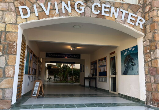 LR-Diving 1424 30-11-19 034375