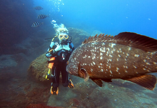 LR-Diving 2019 07-08-24 034354