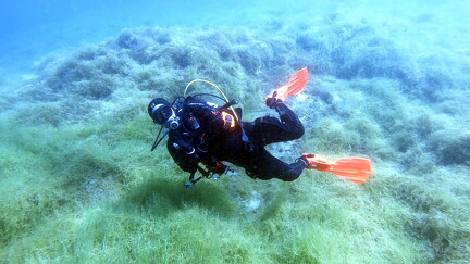 LR-Diving 4287 15-05-22 034392