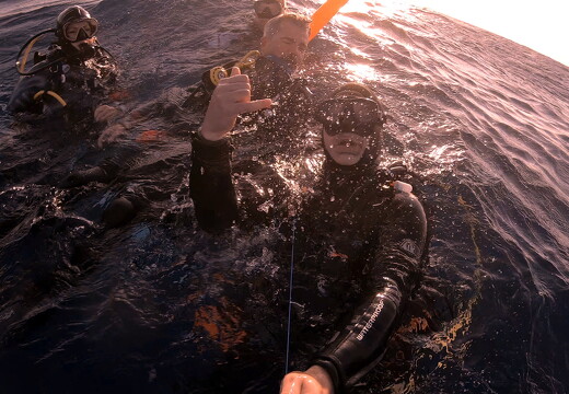 LR-Diving 9017 19-11-22 034412