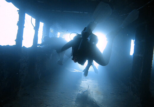 LR-Diving 9210 21-11-22 034415