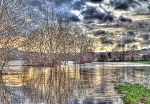 LR-SHOOTING-0154 01082011-01-11 047581