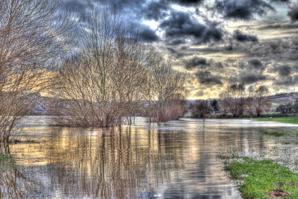 TRUE|HDR|HANDMADE