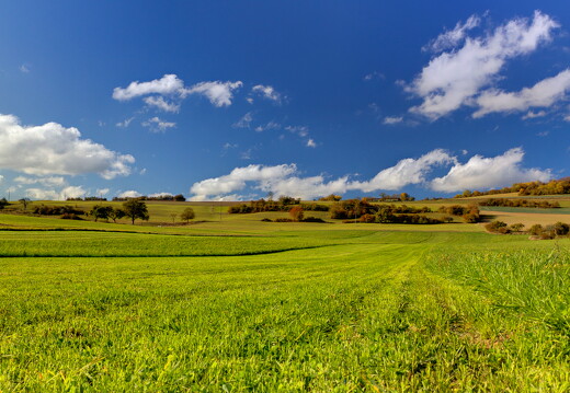 LR-SHOOTING-5644 10262011-10-11 047856