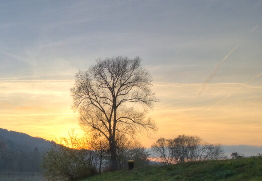 LR-SHOOTING-6501 11132011-11-11 047863