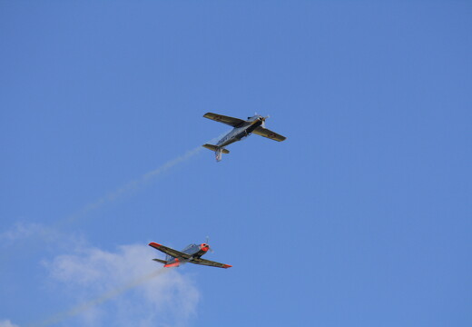 muselknipser DE-Lux-Airshow-10-100626-0025