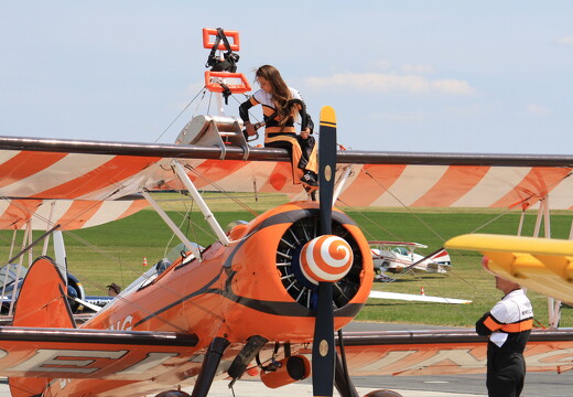 muselknipser DE-Lux-Airshow-10-100627-0060