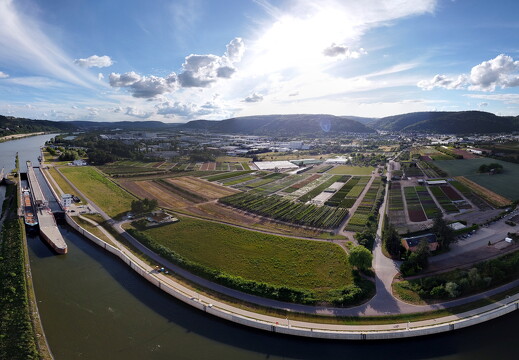 LR-ORI 070 06-06-22 01879