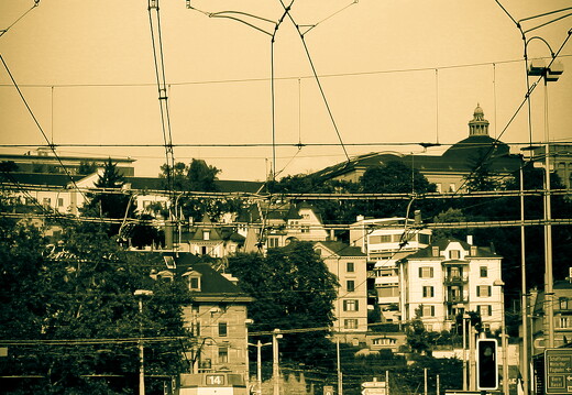 LR-ORI 8529 02-07-10 09260