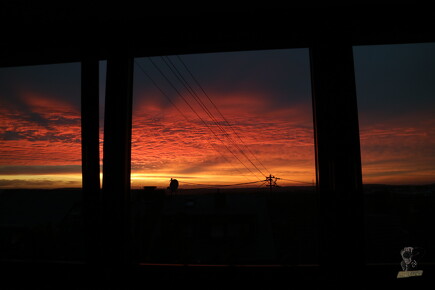 #SUNSETS