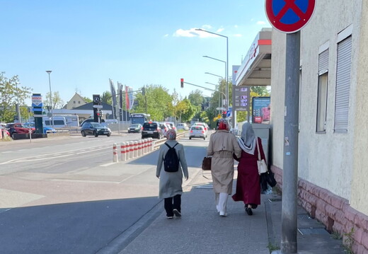 IMG 1774