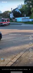 IMG 1503