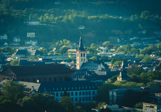 petrisberg-IMG 9894
